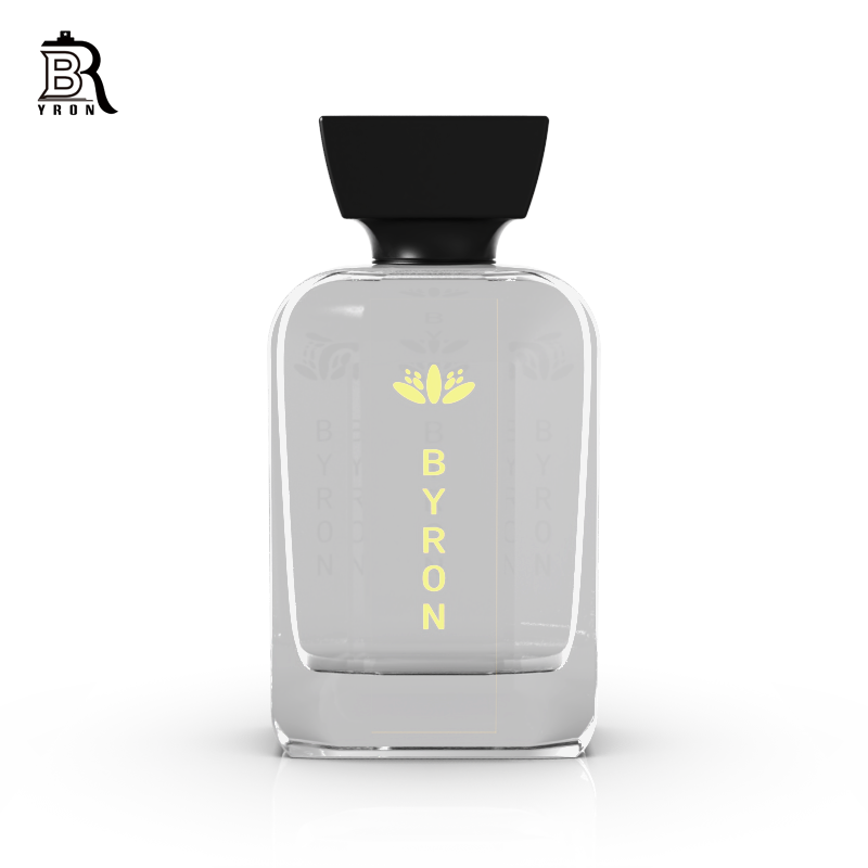 perfume bottles,Empty luxury Glass Perfume Bottles,100 ml Empty luxury Glass Perfume Bottles With Box
